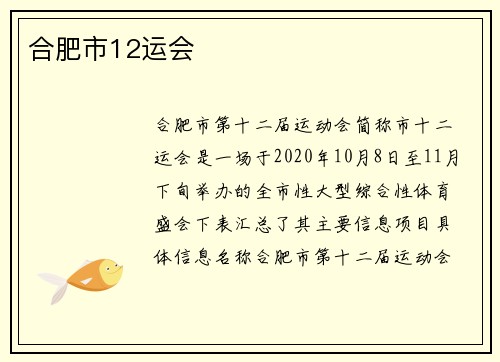 合肥市12运会